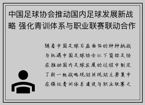 中国足球协会推动国内足球发展新战略 强化青训体系与职业联赛联动合作