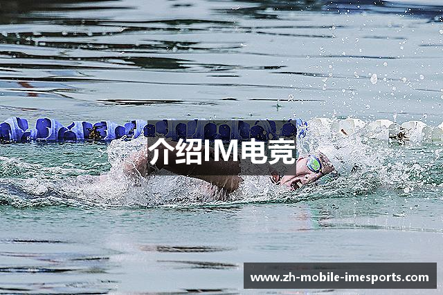 介绍IM电竞